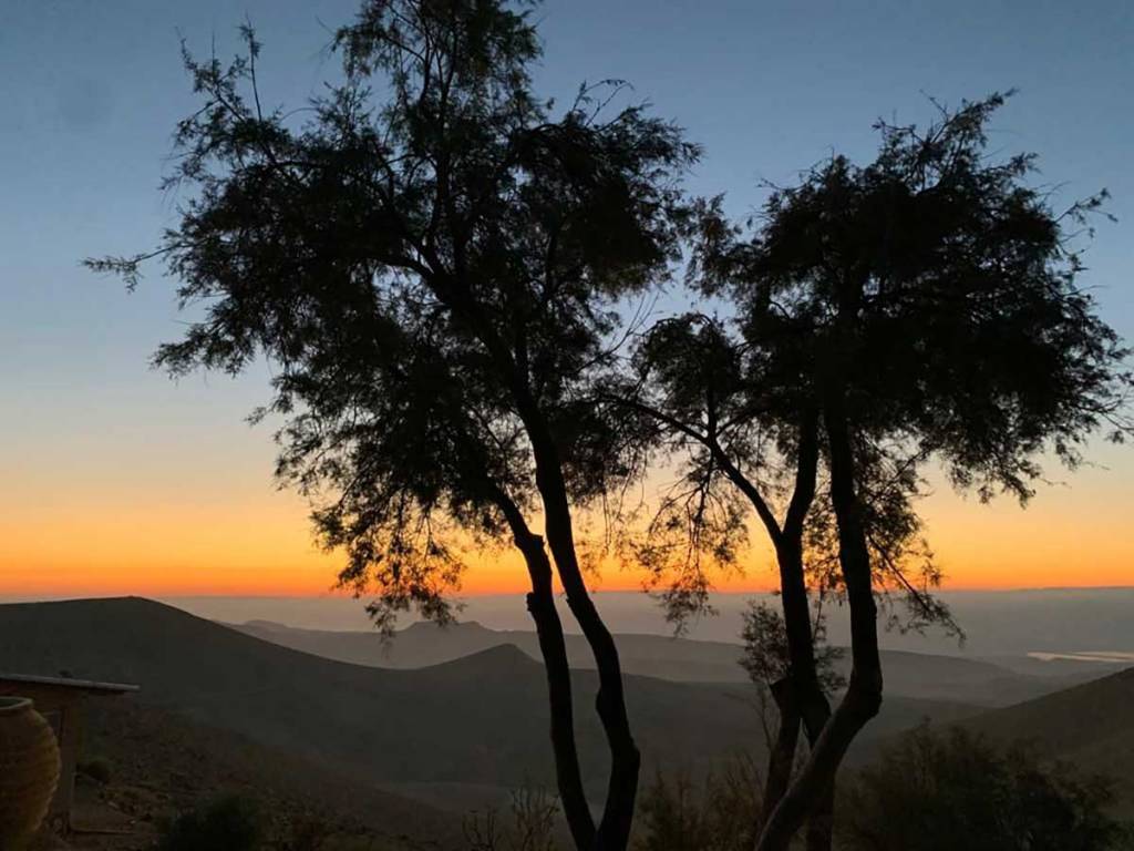 זמן מדבר - שקיעה עם עץ לפניו